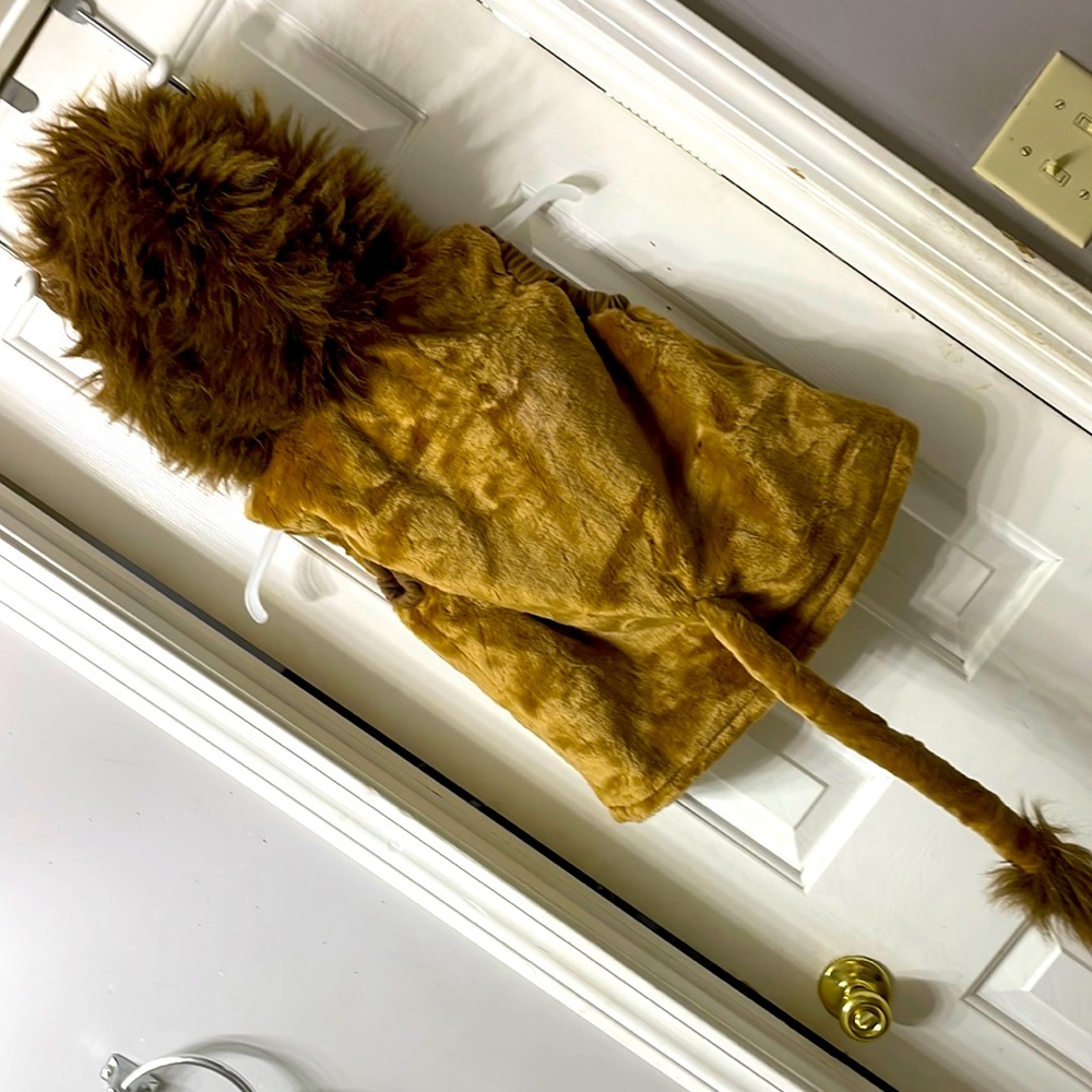 Child’s lion costume for Halloween, cosplay, theatre etc